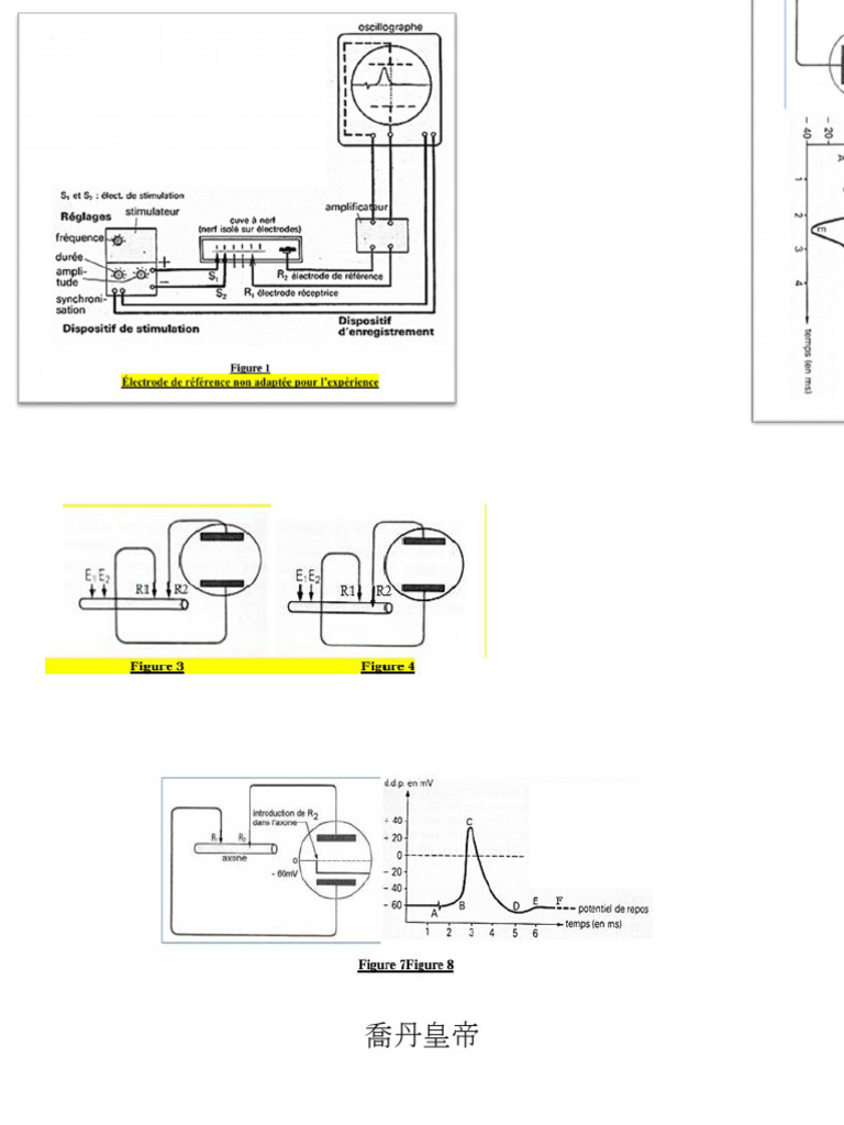 Document 48 | PDF