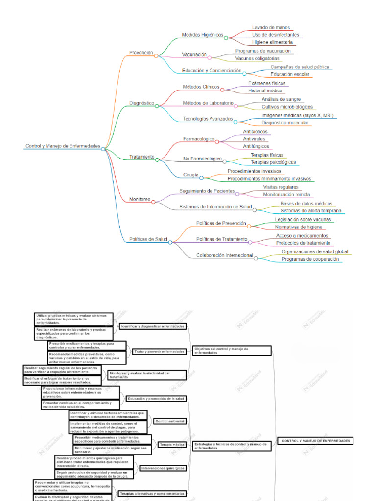 Mapa Conceptual Tema 1 Baldiviezo | PDF