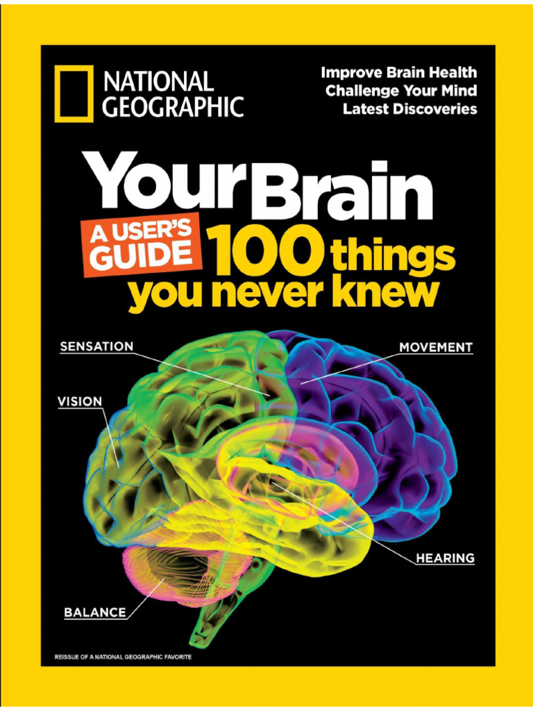 Human Brain Magazine | PDF
