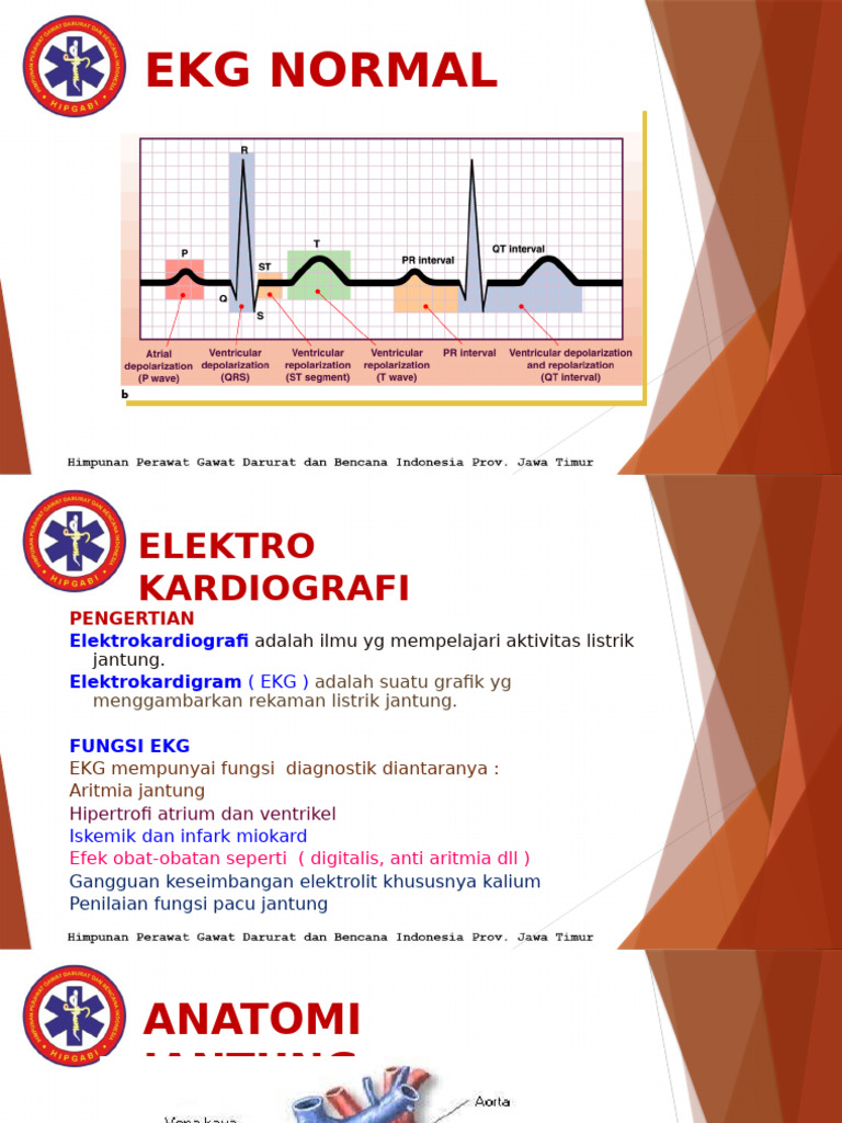 Panduan Lengkap EKG Normal dan Fungsinya | PDF
