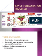 The Overview of Fermentation Processes