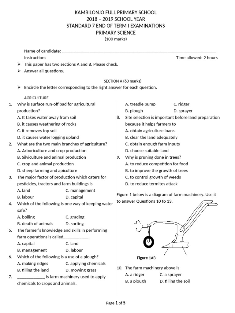 Standard 7 Science Exam Paper 2018-2019 | PDF | Pollination | Flowers
