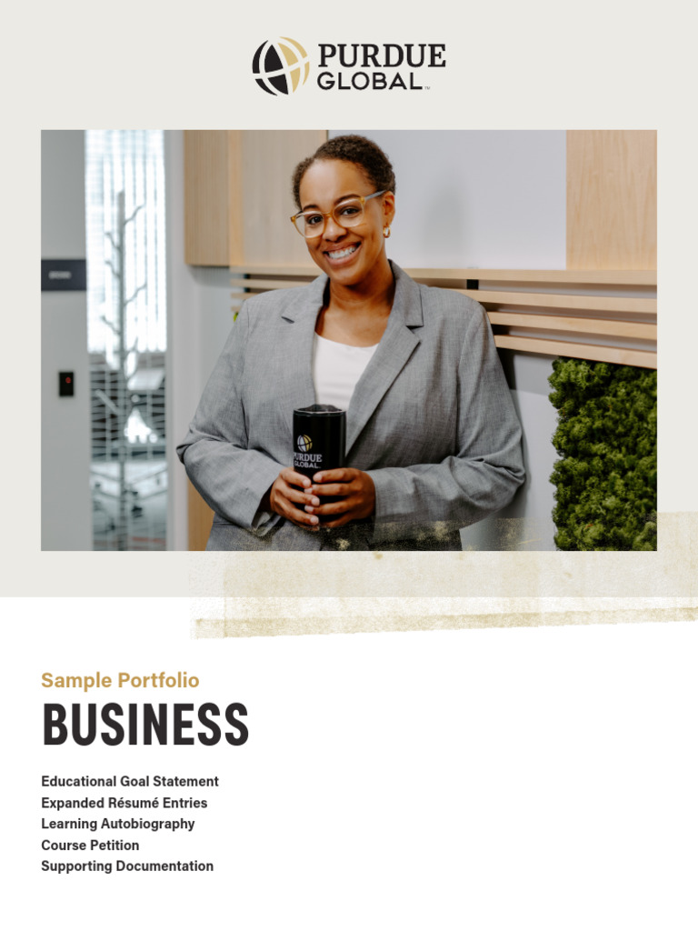 Business Portfolio Sample | PDF
