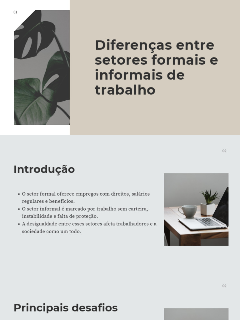 Setores Formais vs. Informais: Desafios e Soluções | PDF