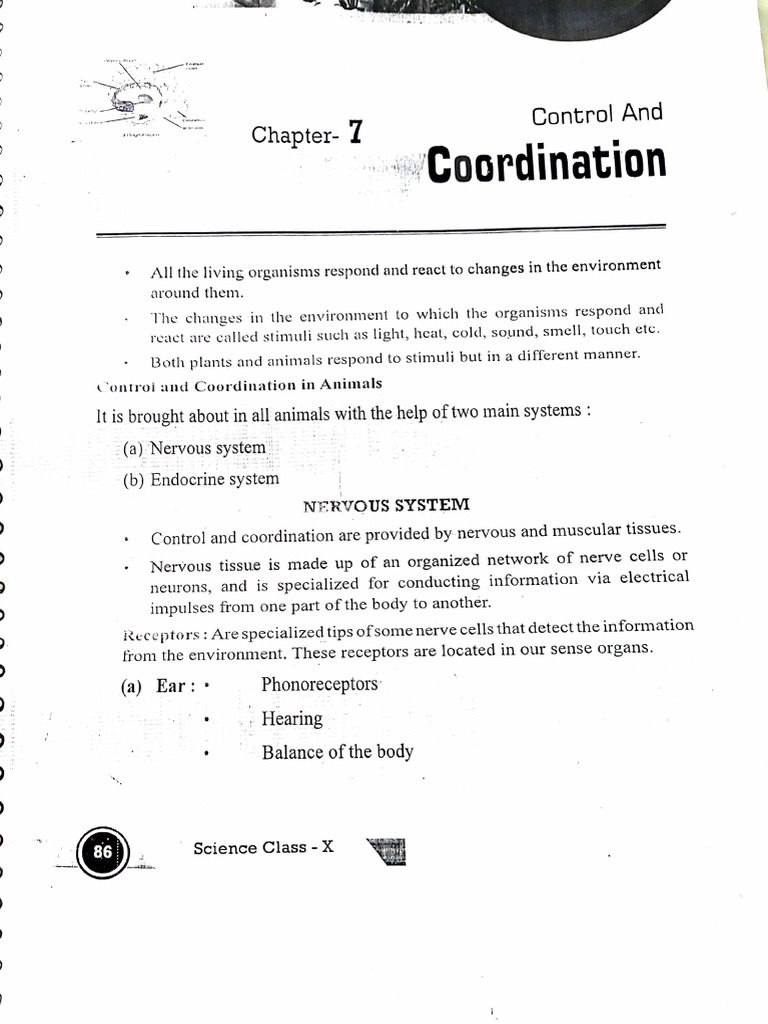Control and Coordination in Organisms | PDF | Nervous System | Neuron