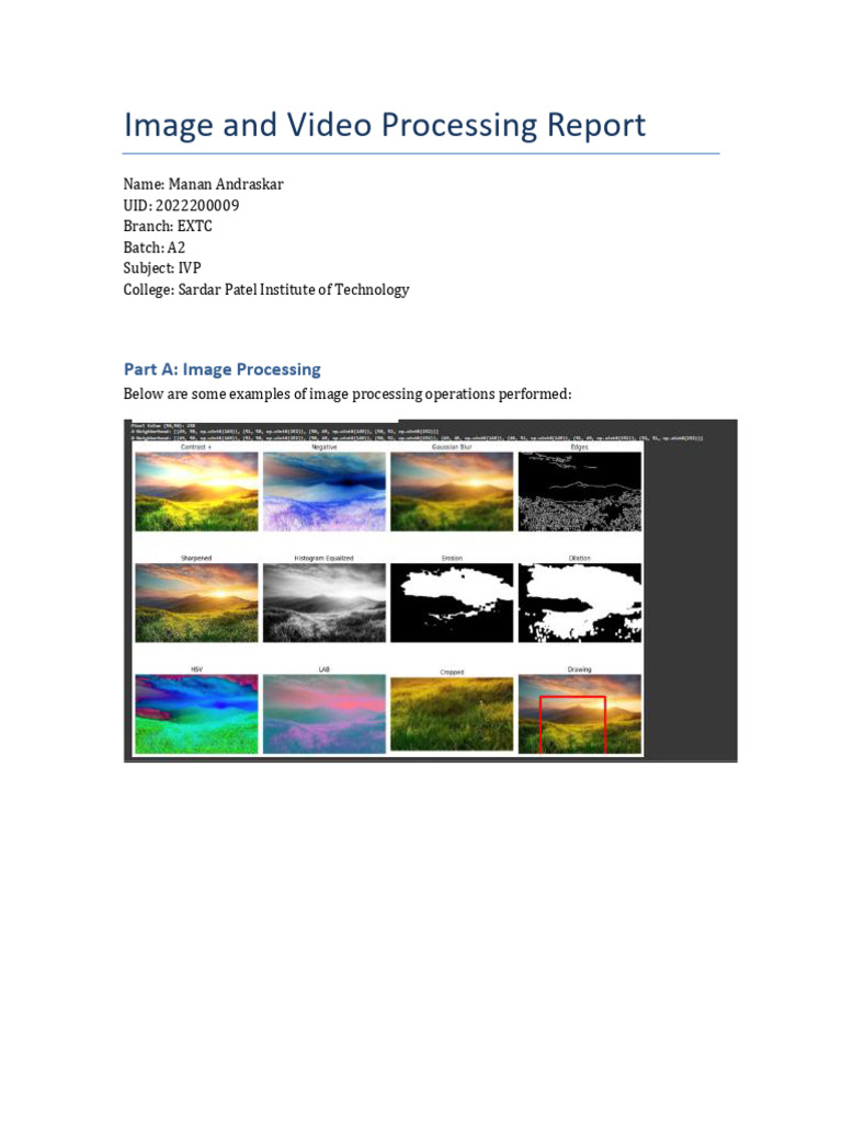 Image and Video Processing Techniques | PDF