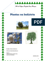 Plantas Usadas Na Indústria - GRUPO 3