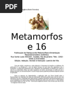 Compressa de Gengibr1