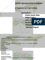 Cultivo de Frijol Calima Proyecto Productivo