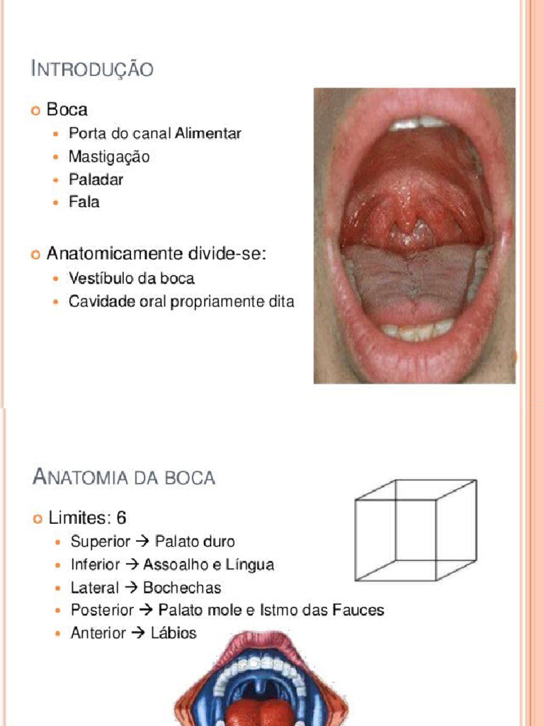 SISTEMA DIGESTÓTIO BOCA | PDF