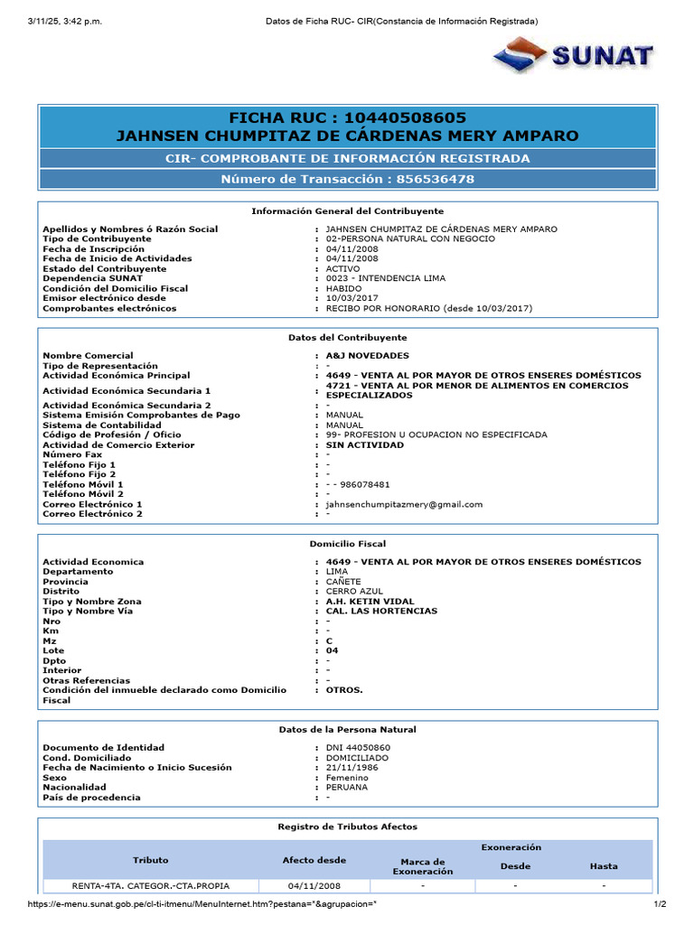 Ficha RUC de Mery Amparo Jahnsen | PDF