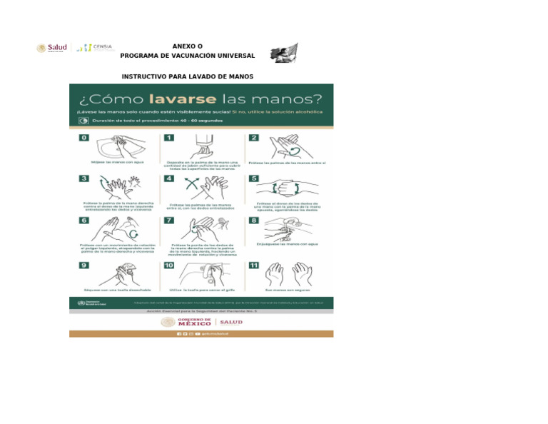 Tecnica de Lavado de Manos | PDF