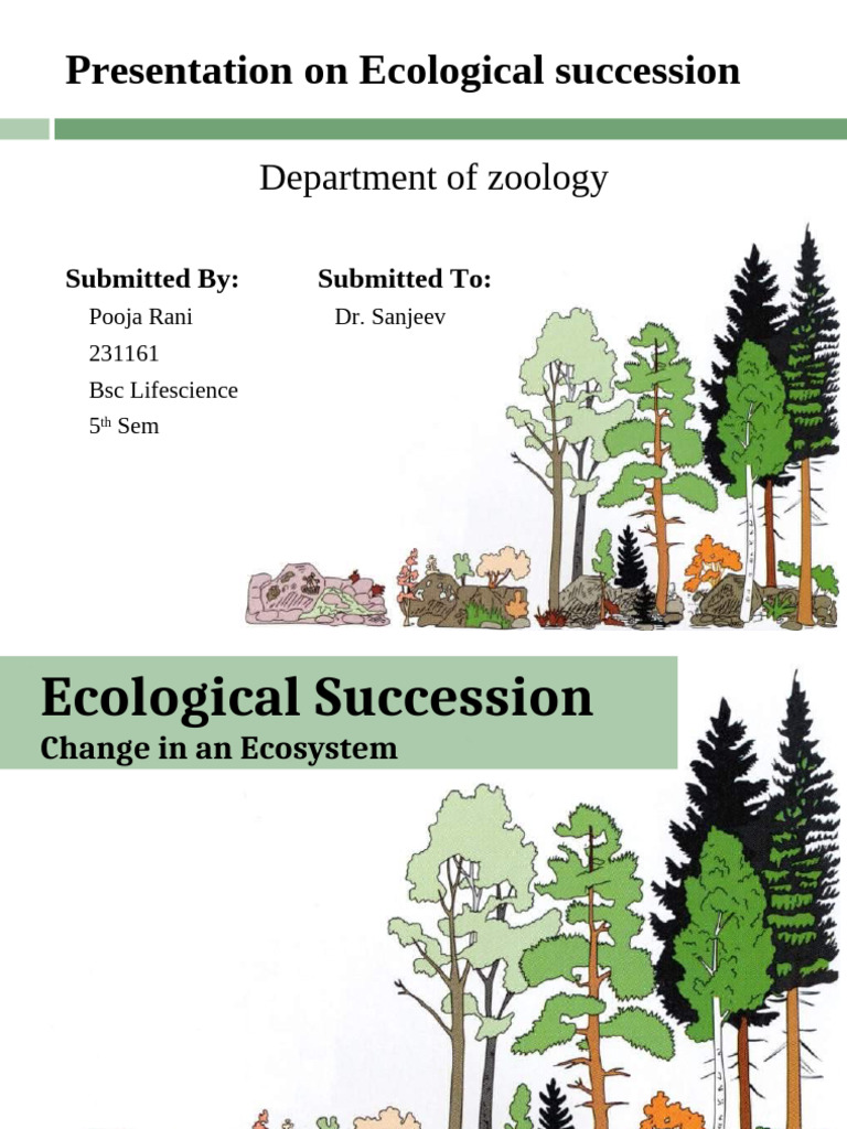 Understanding Ecological Succession | PDF | Soil | Ecosystem