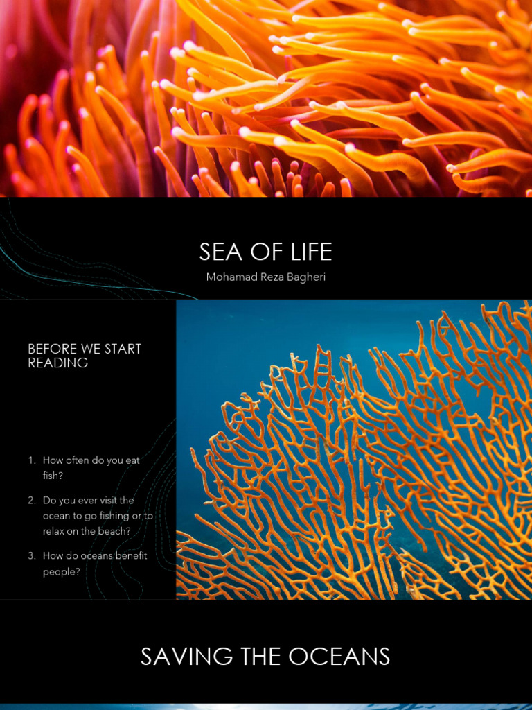 Saving Our Oceans: Challenges & Solutions | PDF | Hydrothermal Vent | Sea