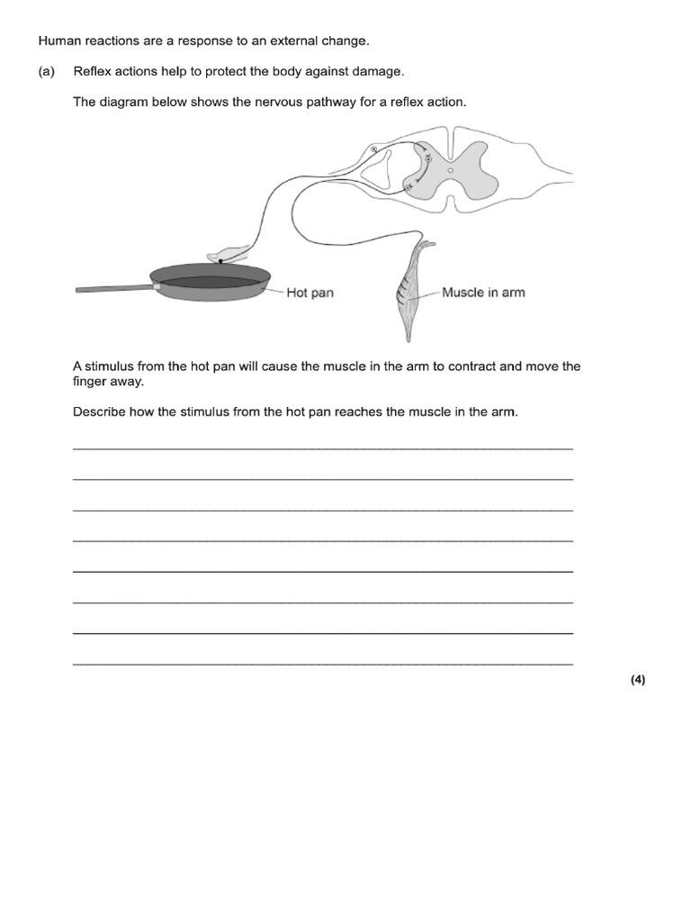 Science 10 Print Questions | PDF
