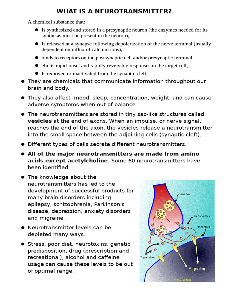 Understanding Neurotransmitters and Their Functions | PDF ...