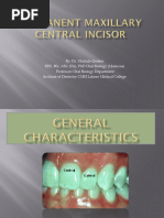 Anatomy of Maxillary Central Incisor | PDF | Dental Anatomy | Dentistry ...