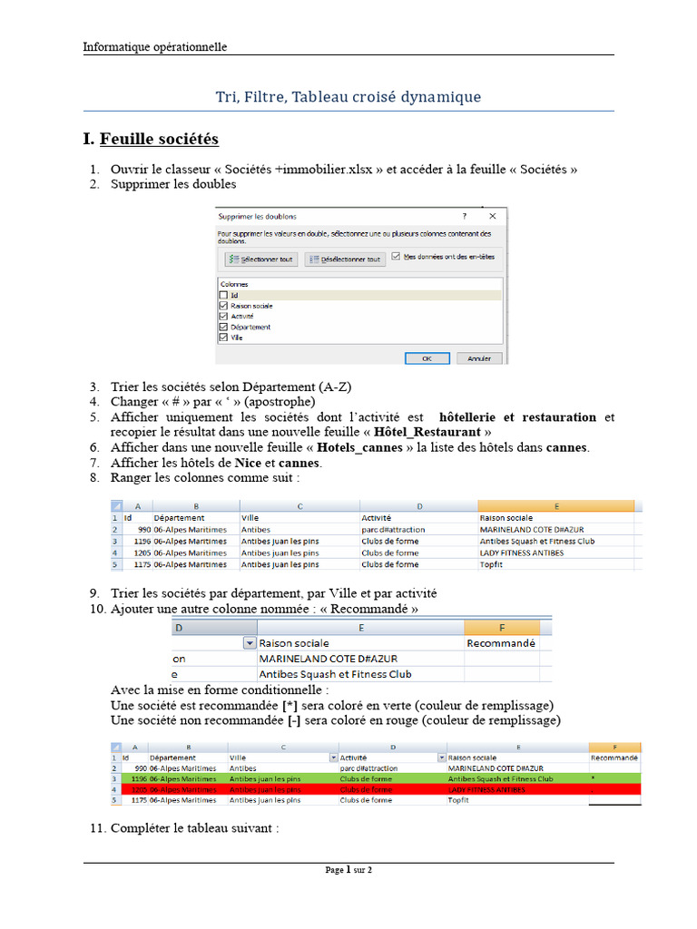 Guide de tri et TCD sur Excel | PDF
