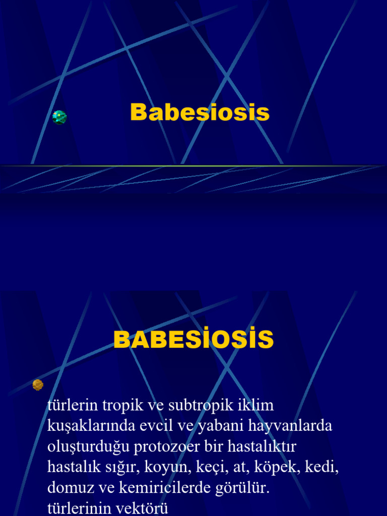 12 Babesia | PDF