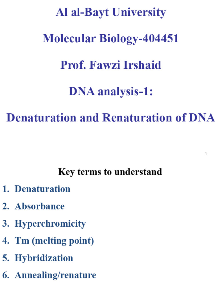 DNA Denaturation and UV Absorbance Analysis | PDF | Nucleic Acid ...