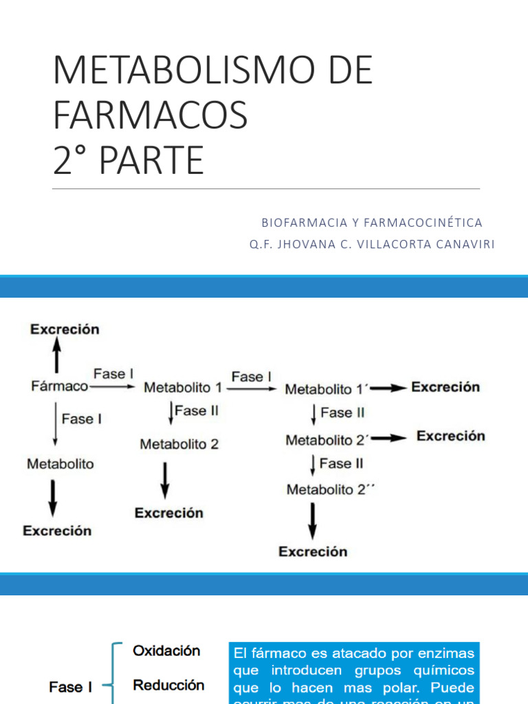 metabolismo-de-f-rmacos-fase-i-y-ii-pdf-hidr-lisis-redox