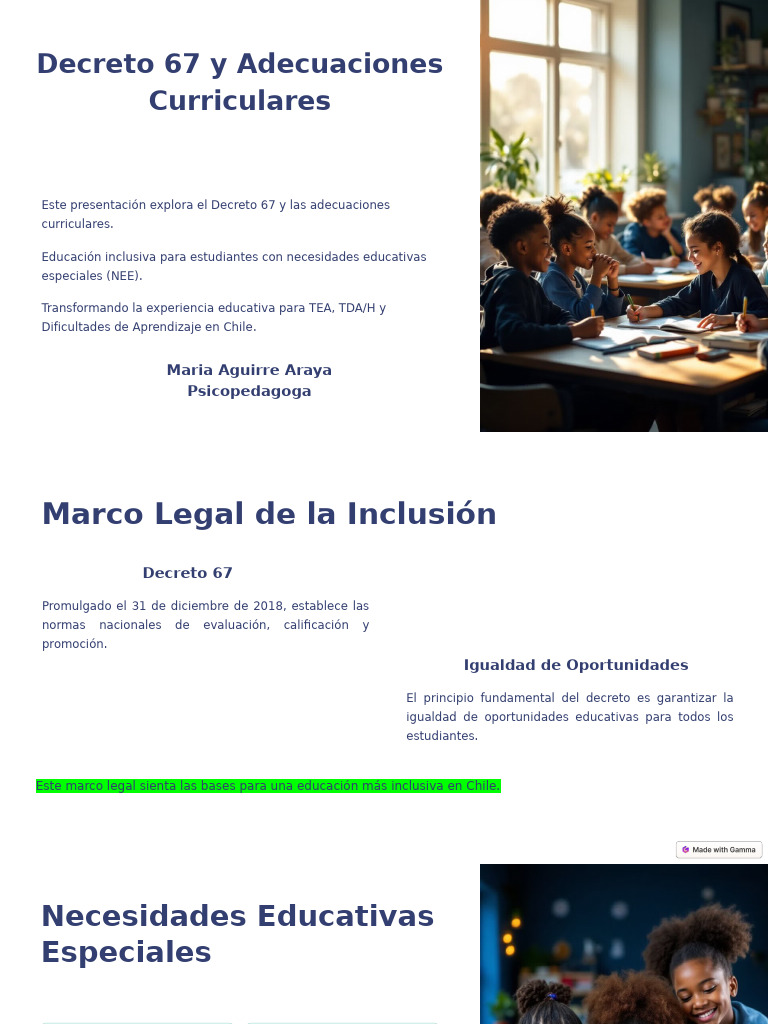 Inclusión Educativa: Decreto 67 y NEE | PDF | Autismo | Plan de estudios