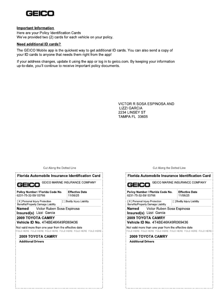 ID Card | PDF