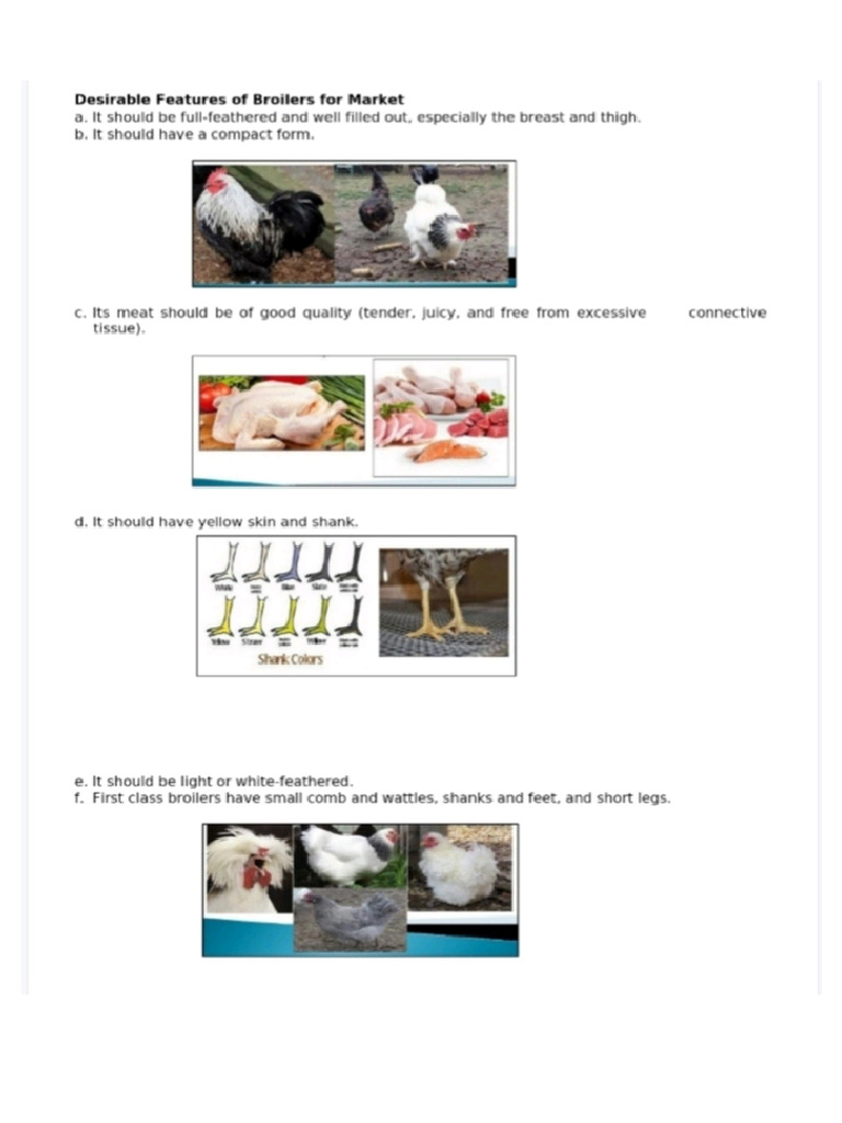 PDF Gallery - 20251007 - 195137 | PDF