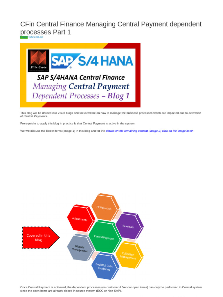 Managing Central Payment Processes in CFIN | PDF | Business
