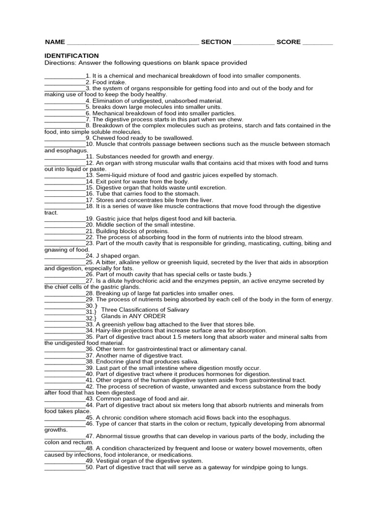 Digestive System Identification Quiz | PDF | Human Digestive System ...