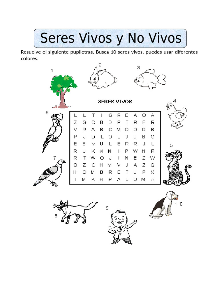 Ficha de Seres Vivos y No Vivos para Primaria | PDF