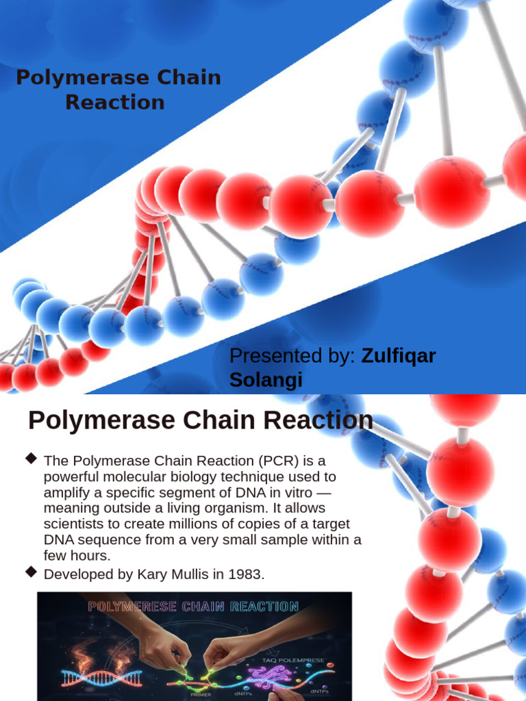 Understanding Polymerase Chain Reaction | PDF