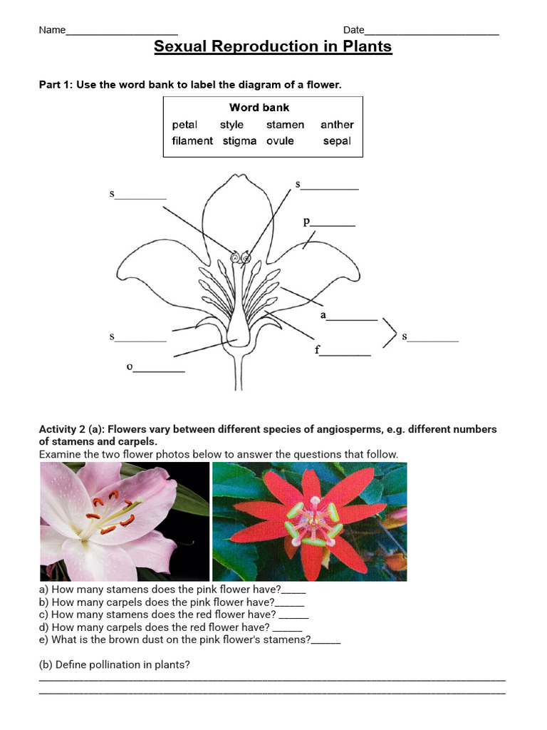 Sexual Reproduction in Plants | PDF | Flowers | Pollination