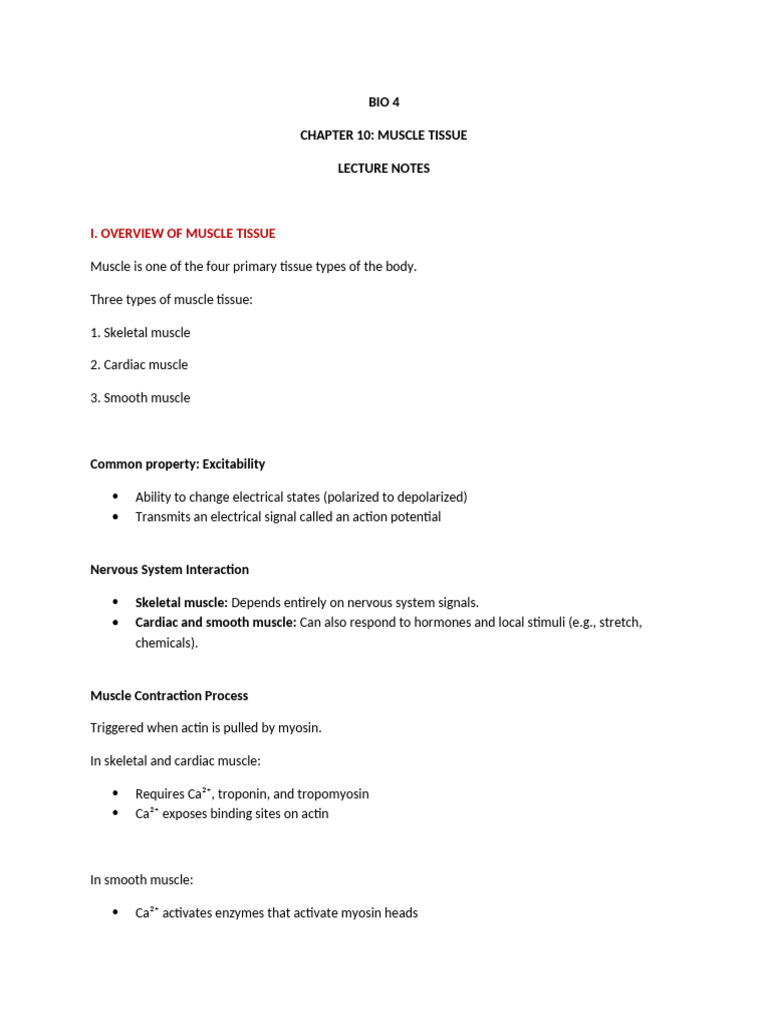 Chapter 10 Lecture Notes | PDF | Muscle Contraction | Skeletal Muscle