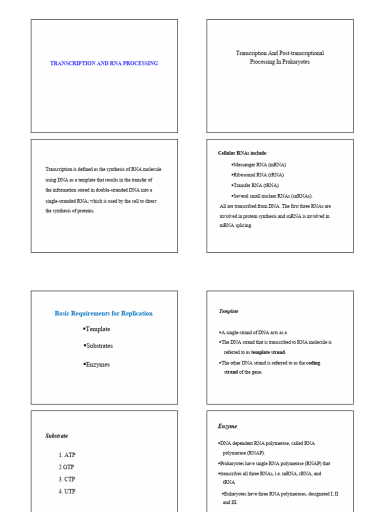 Transcription and Rna Process | PDF | Rna | Messenger Rna