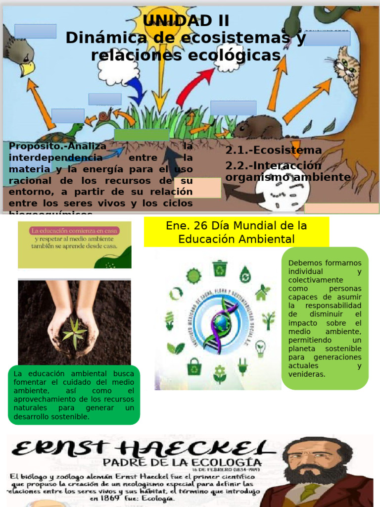 Dinámica de Ecosistemas y Biomas | PDF | Organismos | Ecosistema