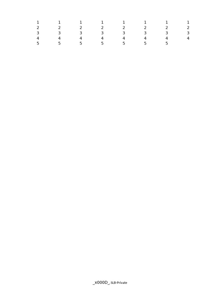 SLB Private | PDF