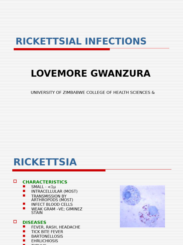 Overview of Rickettsial Infections | PDF | Microbiology | Microorganism