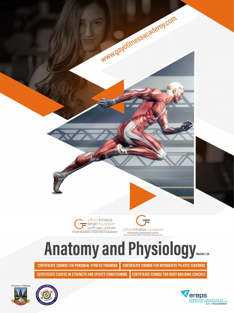 Anatomy and Physiology | PDF
