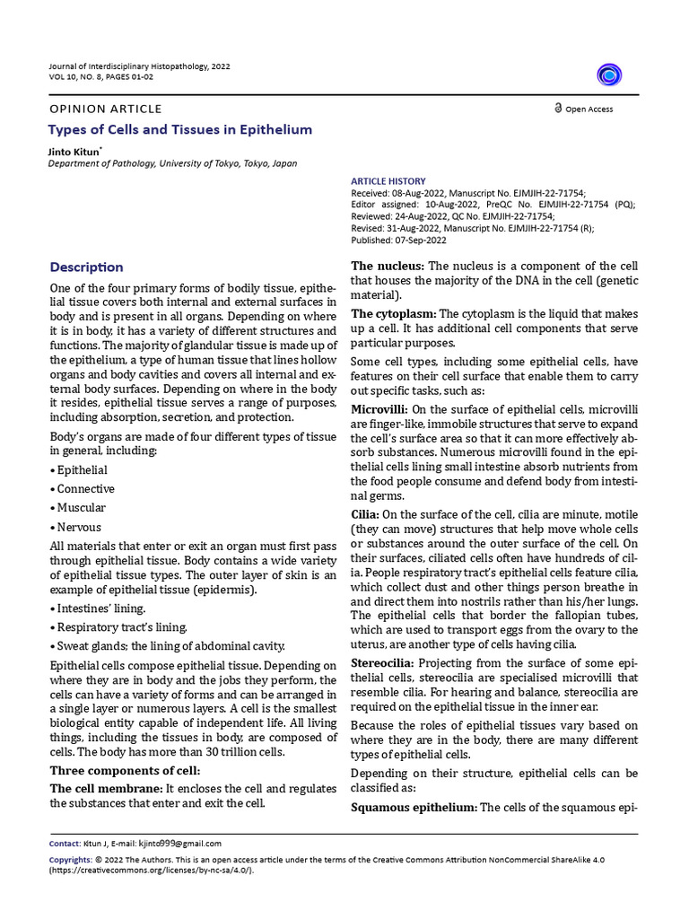 Types of Cells and Tissues in Epithelium | PDF | Epithelium | Tissue ...