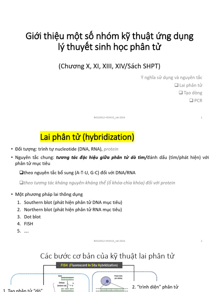 Gioi Thieu 1 So KTSHPT - Ver06.2025 | PDF