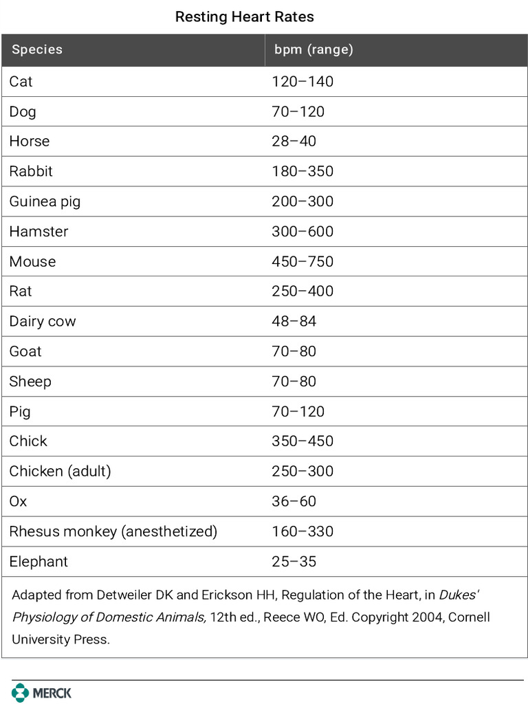 Resting Heart Rates by Animal Species | PDF
