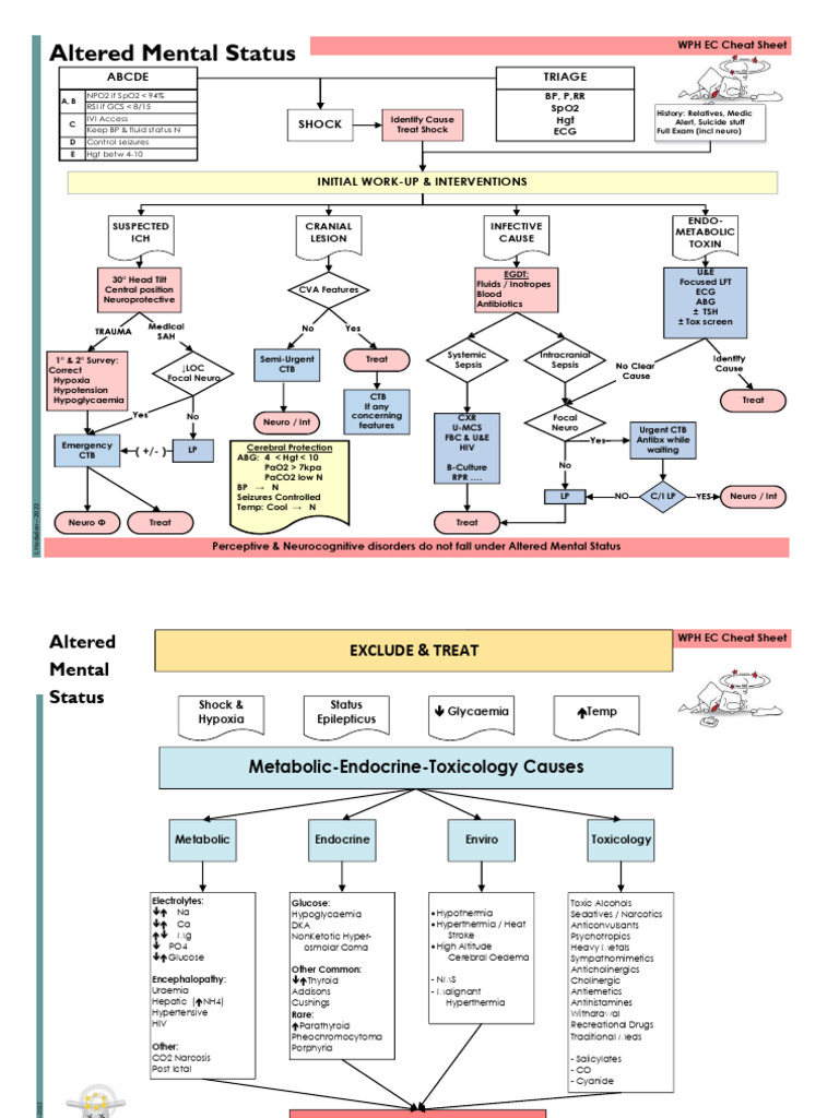 Altered Mental Status Emergency Protocol | PDF | Hyperthermia | Diseases And Disorders
