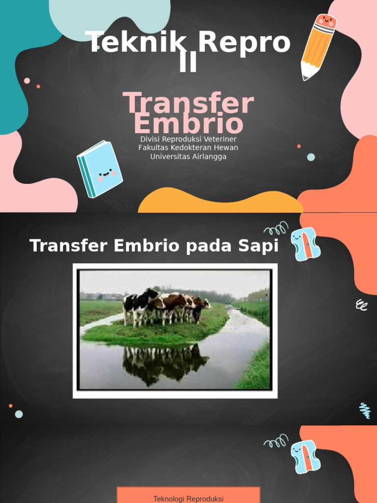 Teknik Transfer Embrio Sapi Unggul | PDF