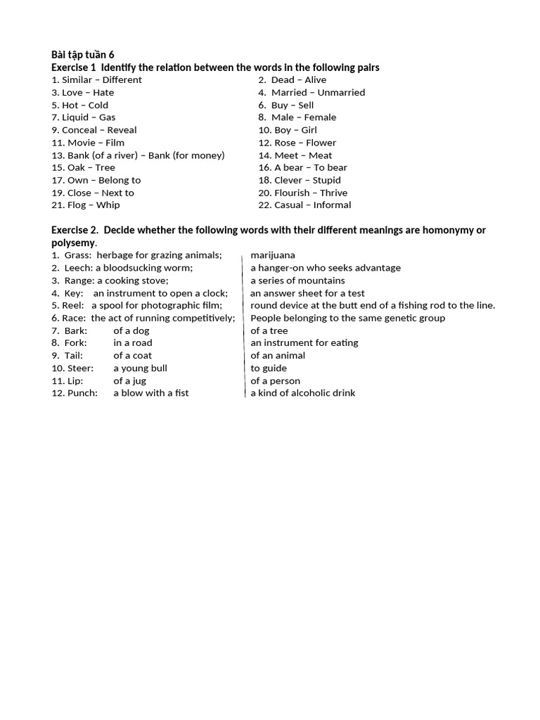 Word Relations and Meanings Exercise | PDF
