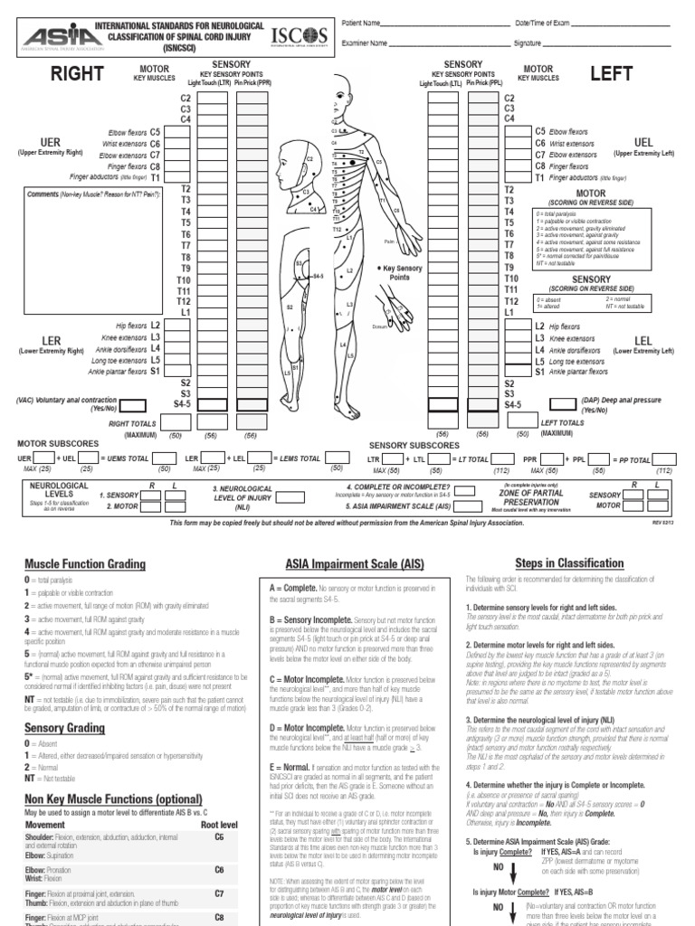 Asia Iscos | PDF | Anatomical Terms Of Motion | Spinal Cord Injury