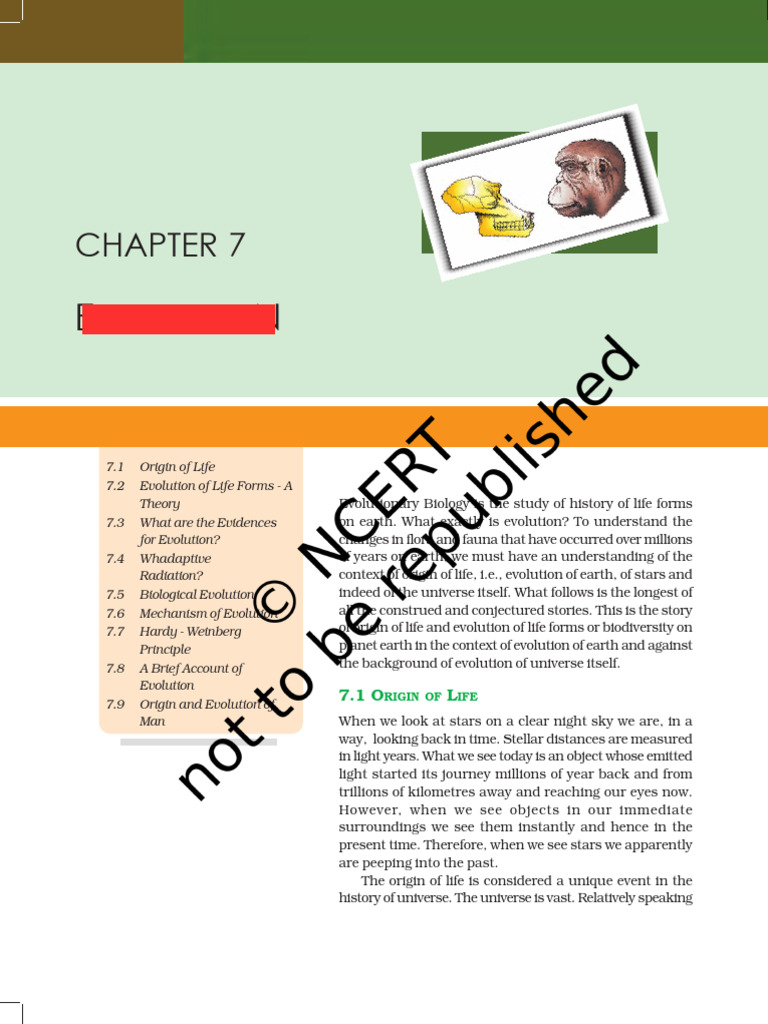 Evolution BOOK Summary 4 | PDF | Homo | Natural Selection