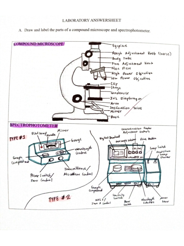 Microscope and Spectrophotometer | PDF