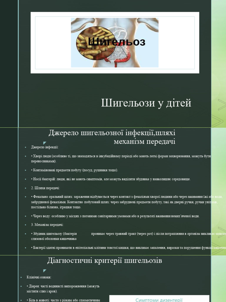 Alight Motion XML 20240911 180932 | PDF