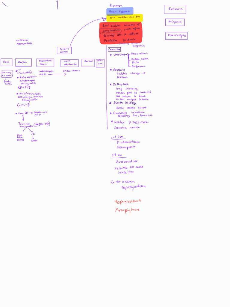 Paediatric Syncope Clinical Guidelines | PDF | Cardiovascular System ...